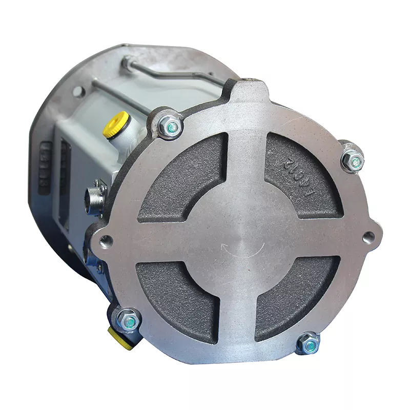 Roots Vacuum Pump Motor