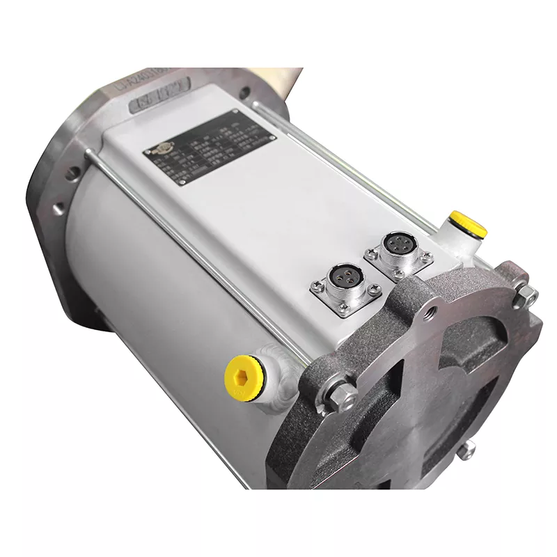 Screw Vacuum Pump Motor